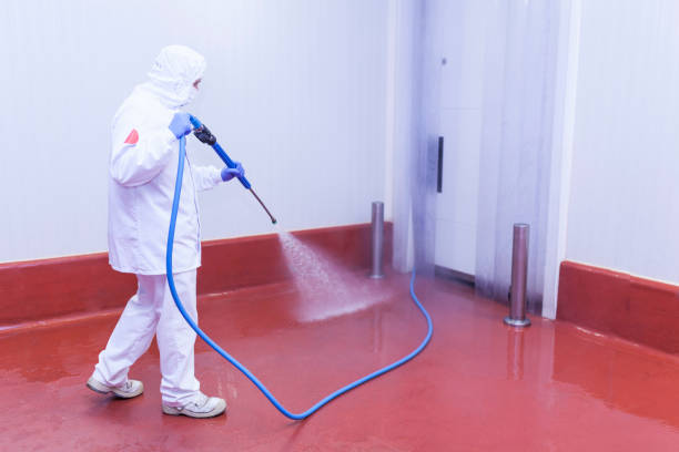 Best Concrete Sealing  in Kalkaska, MI