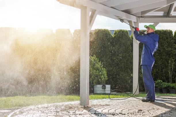 Best Gutter Cleaning  in Kalkaska, MI